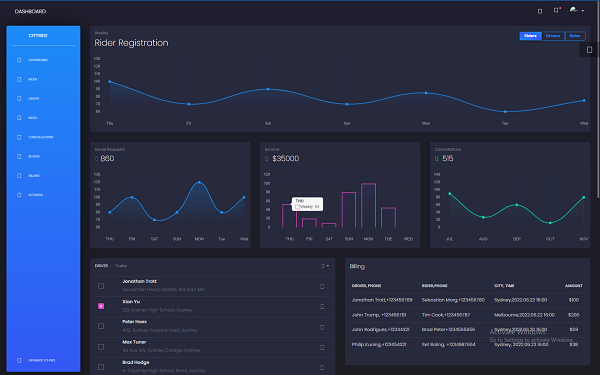 CityRide Dashboard